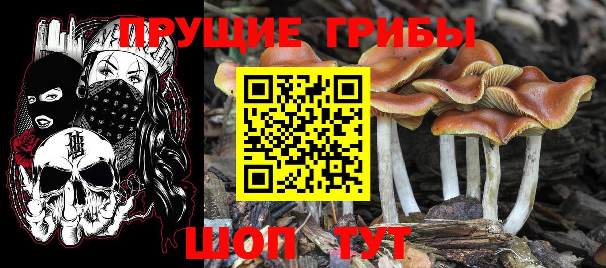 Псилоцибиновые грибы ЛСД  Вход с VPN  Аргун  Галлюциногенные грибы Magic Shrooms 