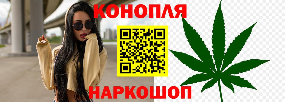 Канабис сатива Аргун
